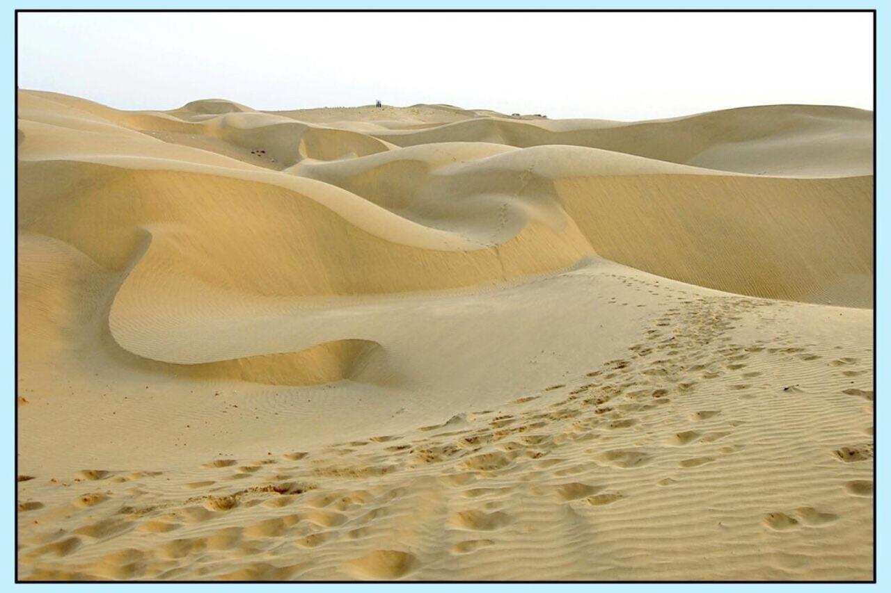 Bests Deserts Camp In Jaisalmer Red Velvits Hotel Sam Exterior photo